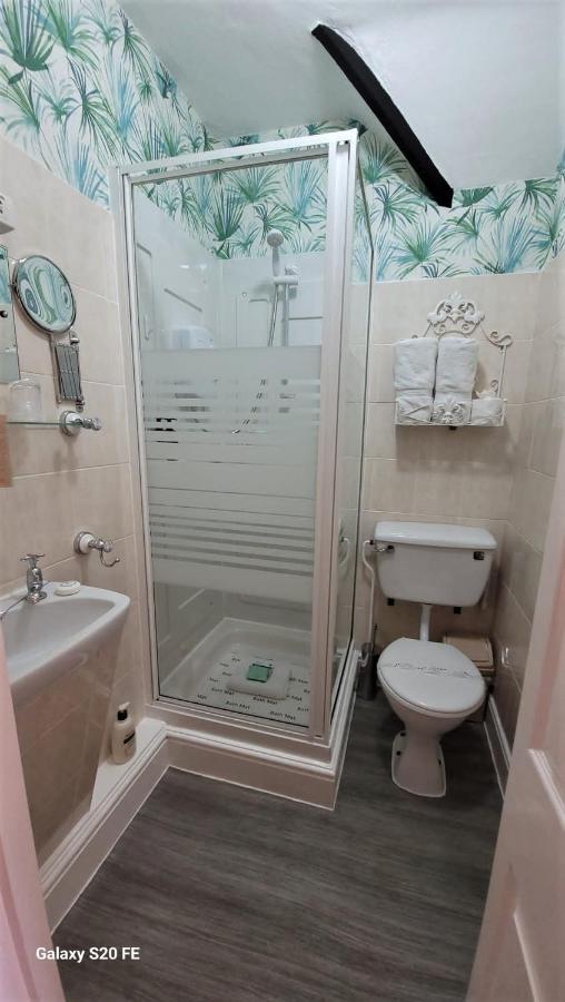 Greylands Guest House Лландриндод-Уэлс Экстерьер фото